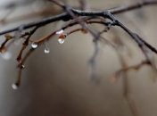 Погода в Украине 17 марта: местами ожидаются дожди 