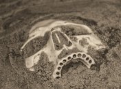 В Северной Ирландии нашли останки подростка. Иллюстрация