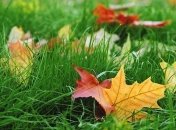 Прогноз погоды в Украине на 14 сентября: осадков не ожидается 