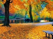 Прогноз погоды в Украине на 1 октября: ожидается переменная облачность 