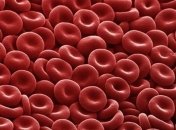 Слоны могут помочь в борьбе с раком