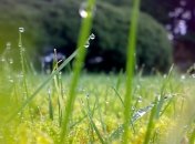 Погода в Украине 10 июня: в стране будут дожди с грозой