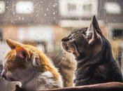 Весной и не пахнет: синоптики дали свежий прогноз на 23 марта 