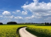 Погода в Украине на сегодня: будет солнечно и ясно 