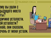 Веселого вам вторника: утренние анекдоты 3 декабря