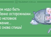 Отличное настроение с утра: утренние анекдоты 20 октября