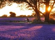 22 мая. 5 вещей «made your day»