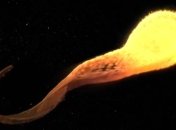 NASA показало удивительное видео уничтожения звезды черной дырой