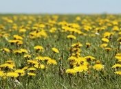 Приметы и обряды на 22 апреля –  День Евпсихия, Красная горка