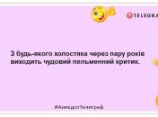 Пока в продаже есть хлеб, яйца и пельмени — холостяки так просто не сдадутся: уморительные шутки про одиноких мужчин