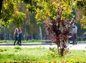 Замглавы КГГА: В мае в Киеве откроются три обновленных парка