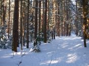 Найдены еще двое детей-маугли  