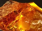 На границе с Польшей обнаружили 106 кг янтаря