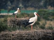 Церковный праздник 7 августа - что запрещается делать в этот день