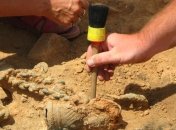 Археологи сделали в Крыму интереснейшую находку 