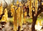 До +18: синоптики рассказали, когда потеплеет 