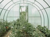 Поради з догляду за теплицею