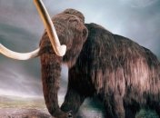 Ученые выяснили, почему вымерли мамонты