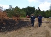 В Чернобыльской зоне продолжают тушить пожар 