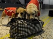 Психологи: Тяжелые сумки вызывают депрессию