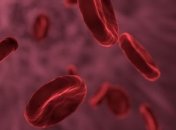 Новое исследование: Как появился гемоглобин?