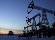 В первые дни нового года "черное золото" продолжает дешеветь