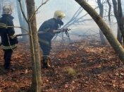 В Чернобыльской зоне продолжается ликвидация пожара