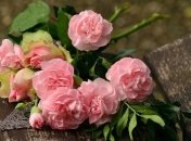 Оригинальные поздравления с днем рождения в прозе на 29 сентября