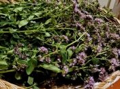 Рецепты очищения легких народной медициной