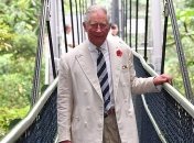 Содружество Наций может возглавить принц Чарльз