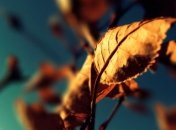 Как адаптироваться к осени