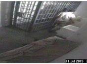 Появилось видео побега самого известного наркобарона "Ель Чапо"