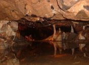 Ученые рассказали о кулинарии каннибалов древней Европы