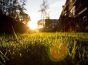 18 июля 2015, примета дня. Игры Месяца — на добро