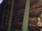В Румынию пытались незаконно вывезти 56 вагонов леса из Украины