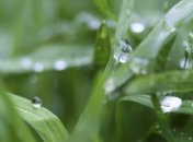 Прогноз погоды 14 мая в Украине: прохладная погода, местами дожди