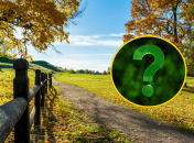 Осіння дорога