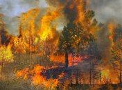 Штрафы до 153 тыс. гривен: к каким наказаниям следует готовиться украинцам, поджигающим траву (инфографика)