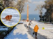 Погода в Одесі