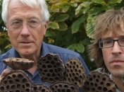 Существует фобия, заставляющая избегать дырок и отверстий