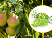 Ілюстративне фото