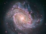 Ученые смоделировали космическую медузу (Видео)