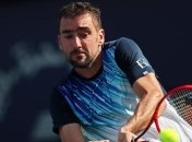 Чилич назвал лучшего теннисиста в истории