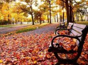 7 ноября. Приметы дня