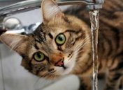 Стало известно, сколько украинцы задолжали за коммунальные услуги