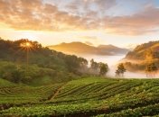 20 снимков, на которых осень фантастически прекрасна (Фото)