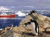 Глобальне потепління зашкодить не всім тваринам