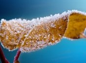 Какой завтра праздник: обычаи и традиции на 8 декабря