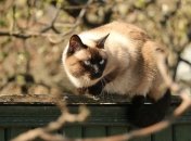 Актуальний прогноз погоди на 16 квітня