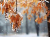 Прокопьев день в 2023 году отмечается 22 ноября (ранее 5 декабря)